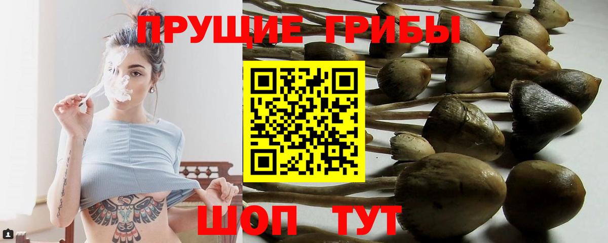 Псилоцибиновые грибы ЛСД Радужный